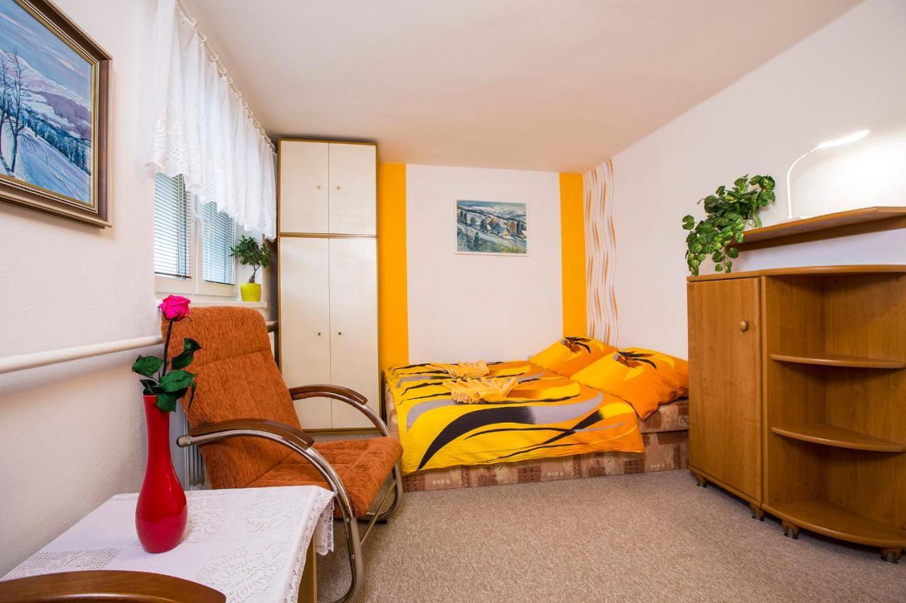 Guest House Bulusek ロキトニツェ・ナト・イゼロウ エクステリア 写真